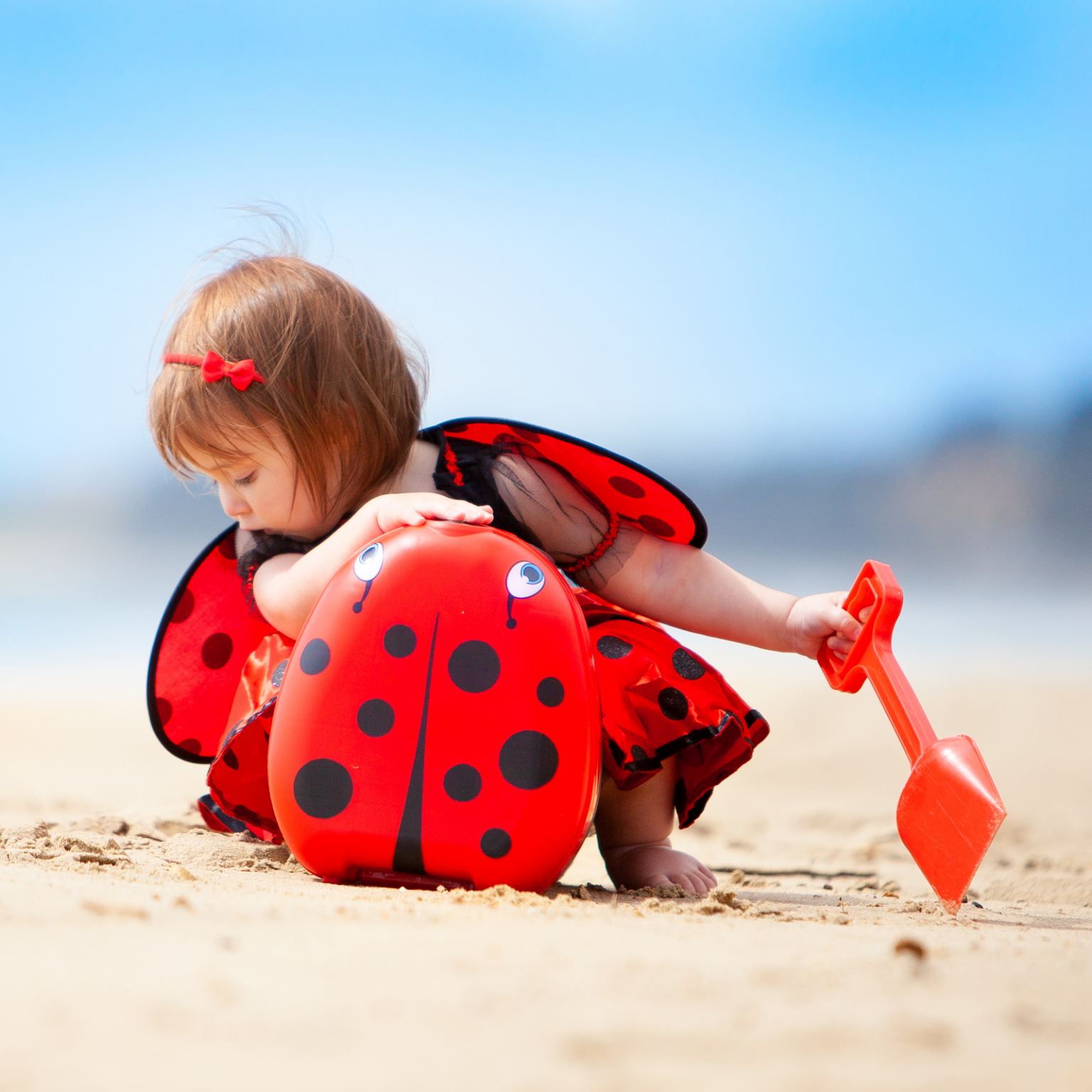 My Carry Potty hordozható bili - BBLOVE | Bababolt és webshop